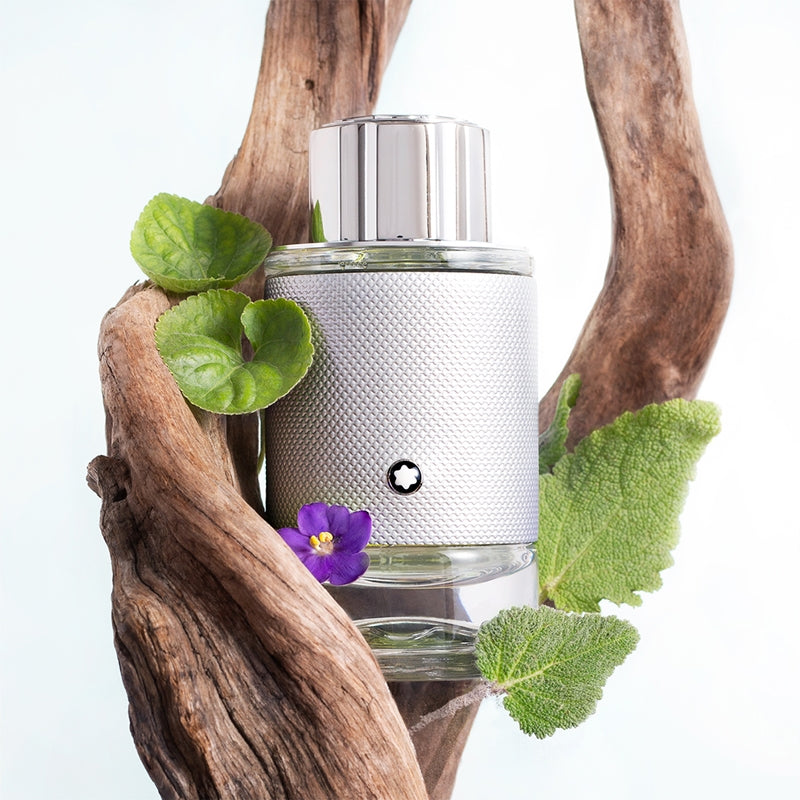 Mont Blanc Explorer Platinum – dettaglio