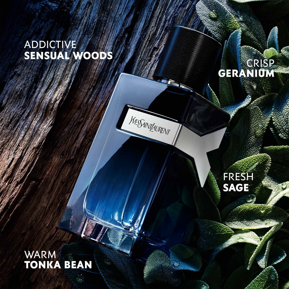 Yves Saint Laurent Y – dettaglio